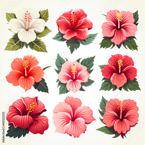 Hibiscus flower icon set vector.