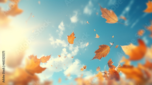 autumn leaf fall, falling leaves on the background of a light blue autumn sky, yellow and red leaves flying from the sky, view up