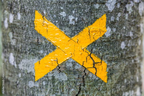 Tableau sur toile Marque jaune d'orientation pour la randonnée apposé sur un arbre.