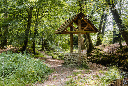 Photo d'un puit au milieux de la forêt de Bercé dans la Sarthe.  photo