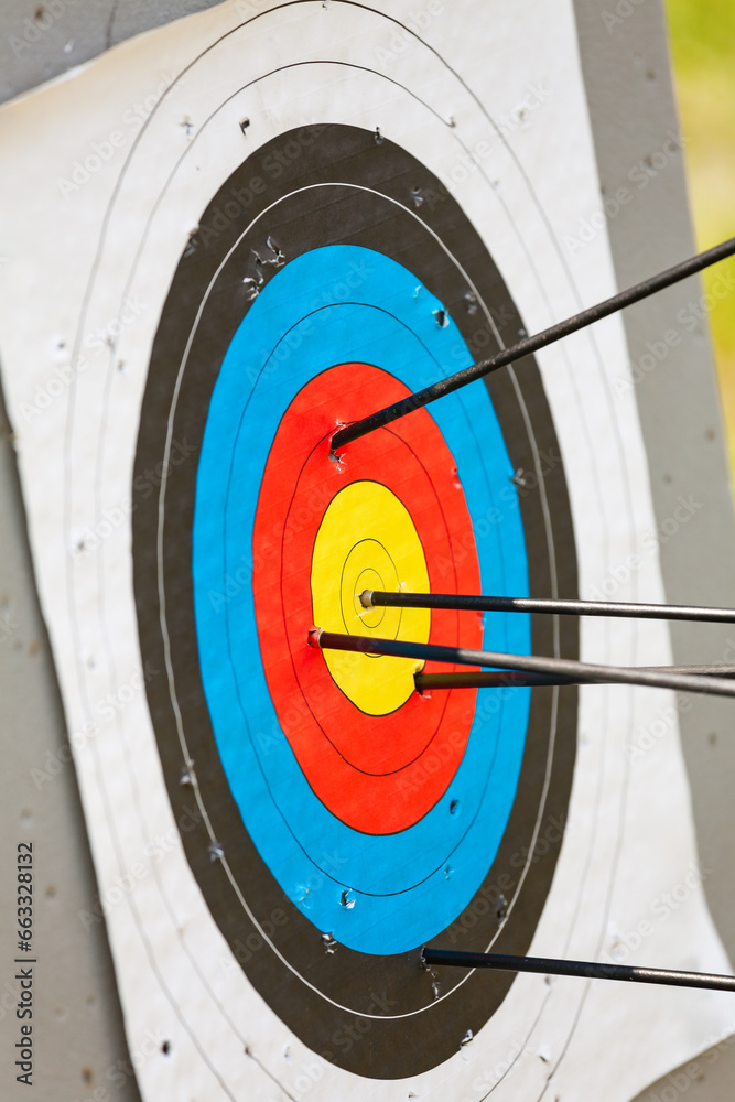 Archery target with arrows Archery target with arrows