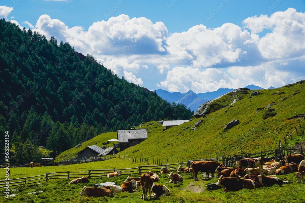Obraz premium landscape in the mountains