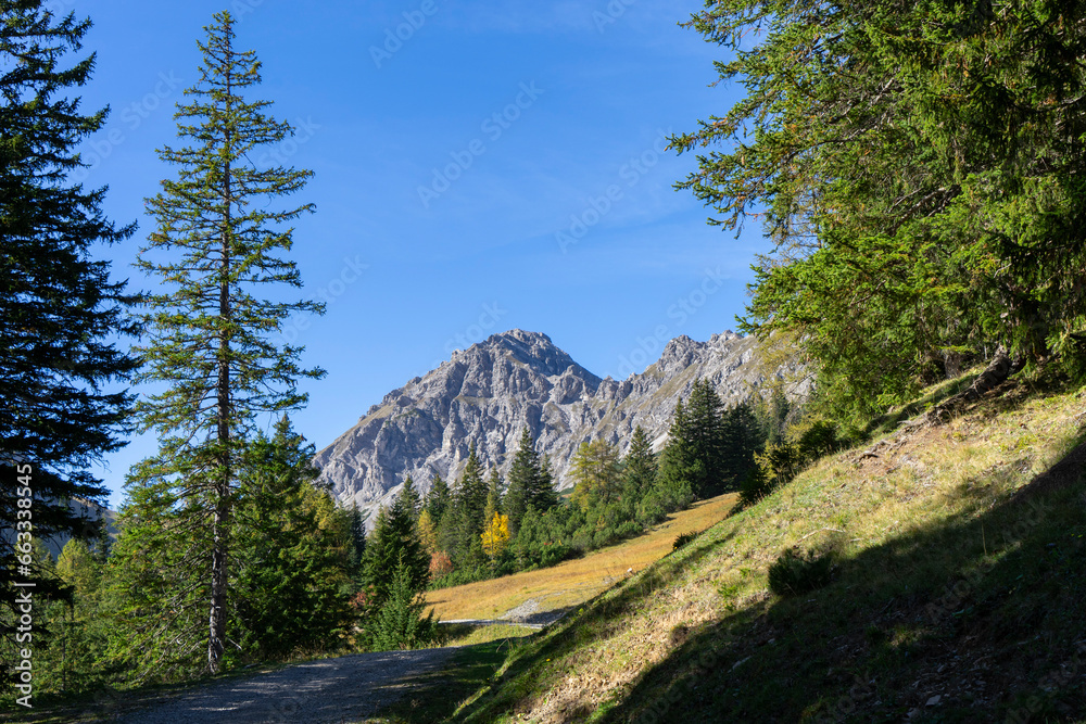 Beautiful landscape with meadow in autumn colours and rocky summit high up in the mountains