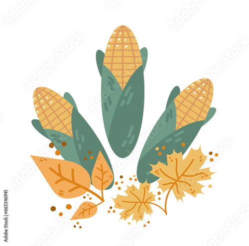 corn cobs with orange leaves autumn harvest festival happy thanksgiving holiday celebration concept