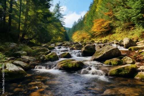 Autumns charm Close up nature landscape with mountain creek and forest