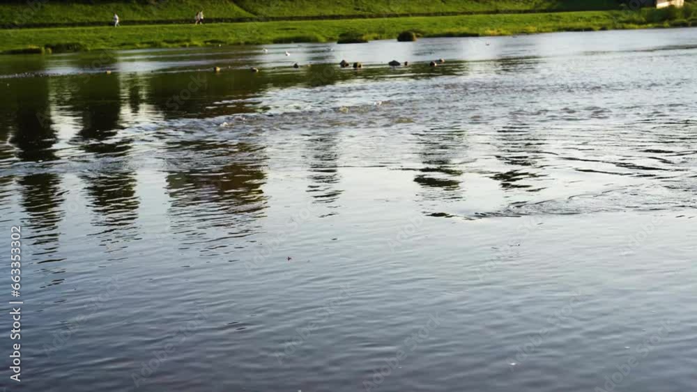 River and shore view, river bank in the city River and shore view, river bank in the city