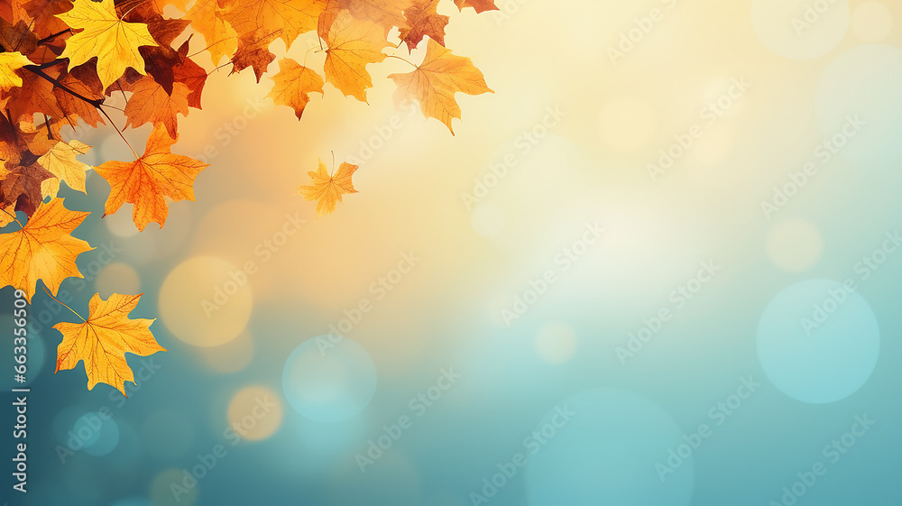 maple leaves on abstract blurred background with bokeh copy space, light bright autumn background for text - obrazy, fototapety, plakaty 