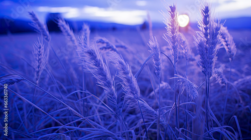 Abstract Backdrop  Wallpaper  Luminous Fields  Future Harvests