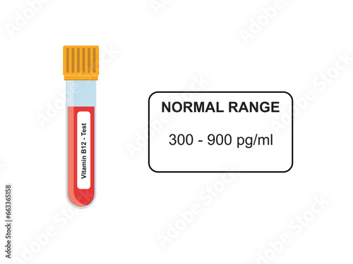 Vitamin B12 Blood Test Concept Design. Vector Illustration.