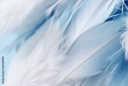 Airy soft fluffy wing bird with white feathers close-up wallpaper background wallpaper background about white feathers