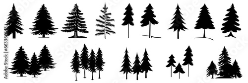 Assorted pine tree vector set icon. Conifer tree silhouettes on the white background 