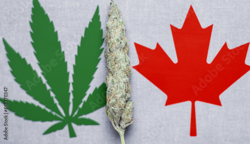 cannabis bud between red Canadian maple leaf and green cannabis leaf