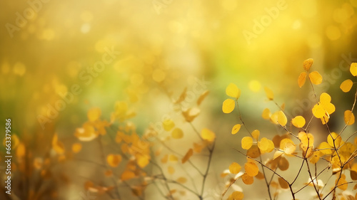 abstract light autumn background yellow leaves autumn mood change of season. © kichigin19