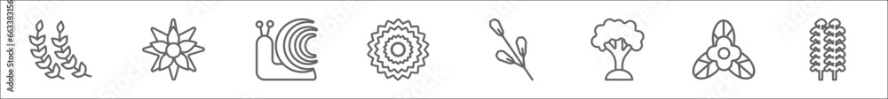 Fototapeta premium outline set of nature line icons. linear vector icons such as pinnate, pointia, snail, peony, spear shaped, beech, bougainvillea, poplar