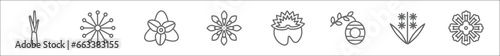 outline set of nature line icons. linear vector icons such as lemongrass, dandelion, gladiolus, zinnia, nymphea, hive, hyacinth, dianthus