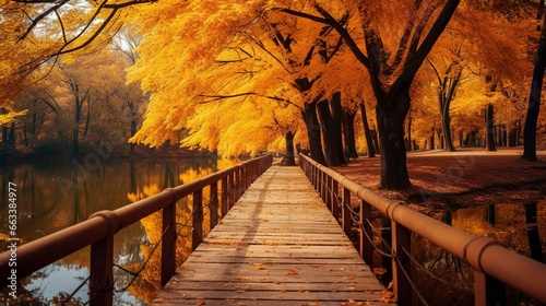Autumn park, wooden pier ne...