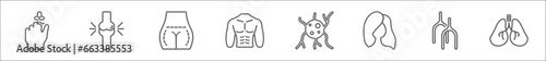 outline set of human body parts line icons. linear vector icons such as hand finger with a ribbon, bones joint, cellulite, men chest, neuron, woman dark long hair, human artery, lungs with the