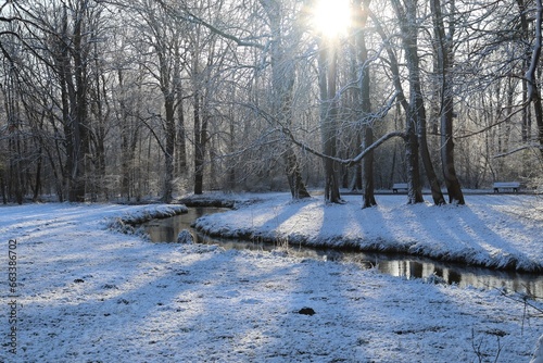 winter landscape with a river
