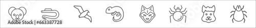 outline set of animals line icons. linear vector icons such as koala, moray, albotros, chameleon, wolf, spider, lama, mite