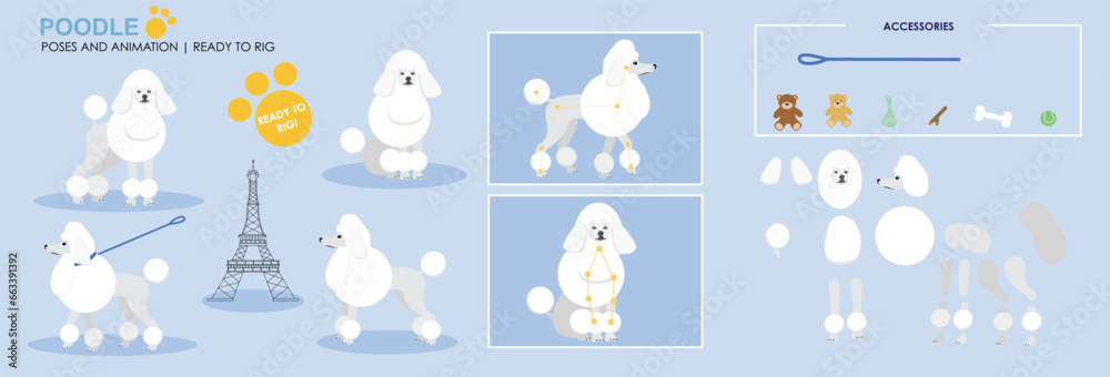 White Poodle Dog character for animation. Created with various poses, expressions and angles, ready to rig for animation.	
