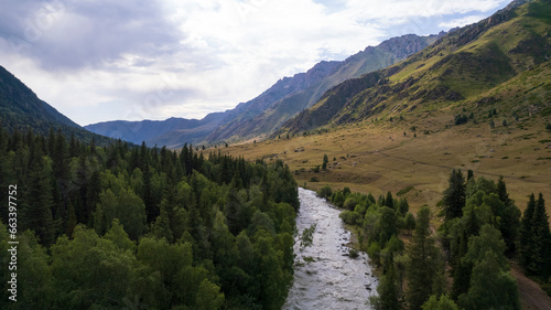 View of the river in a green gorge among the rocks. Tall coniferous trees grow on cliffs and hills. A rushing river is running. High mountains. Top view from a drone. There are paths in places