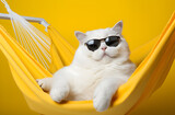 Um lindo gato branco de óculos escuros deitado em uma rede com um fundo moderno em tom de amarelo