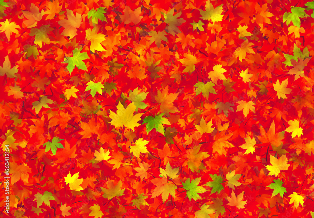 紅葉したモミジの背景画