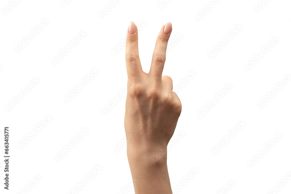 Woman hand isolated on a white background. Woman hand isolated on a white background.