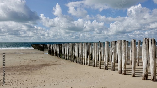 Wellenbrecher, Holzpfähle am Nordseestrand in den Niederlande