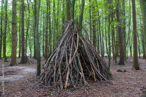 Obraz na płótnie woodland den created with sticks and branches among the trees