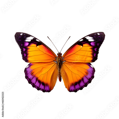 butterfly isolated on transparent  © As_pronon