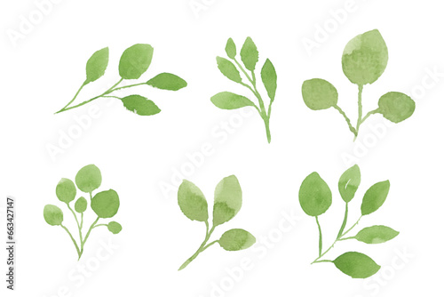 Set of watercolor leaves illustration - green leaf branches collection for wedding, greetings, stationary,  wallpapers, fashion, background. olive, green leaves, Eucalyptus etc