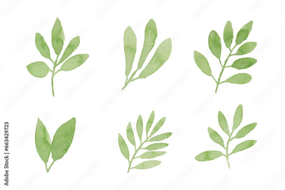 Assortment of watercolor leaves illustration set - green leaf branches collection for wedding, greetings, stationary,  wallpapers, fashion, background. olive, green leaves, Eucalyptus etc