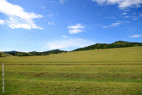 View of the green Mongolian steppe in summer