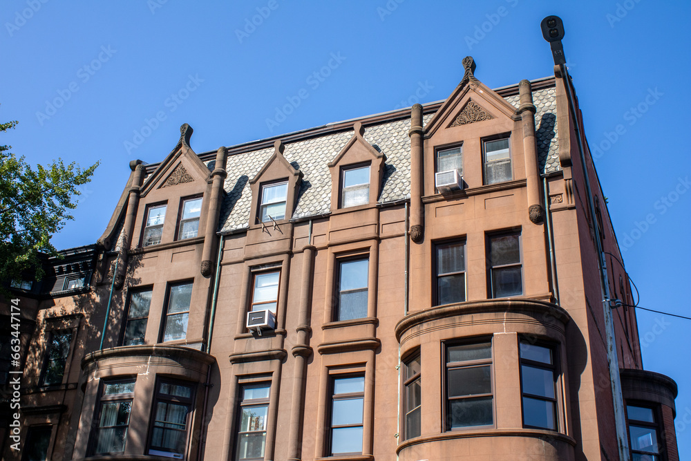 Fototapeta premium park slope brown apartment building