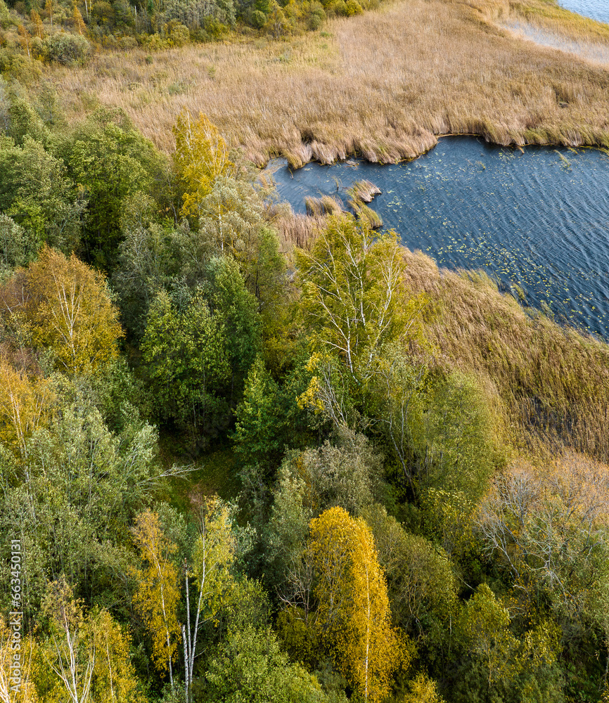 Autumn landscapes near Siver lake, Latvia (Latgale).