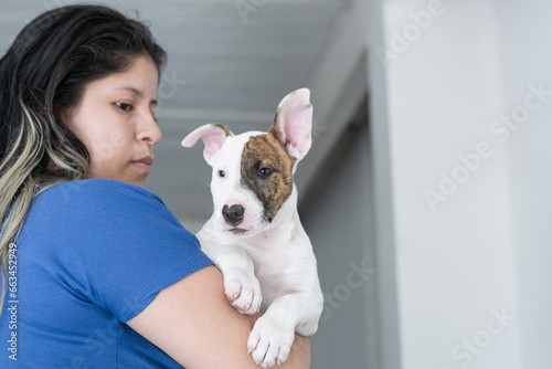 young latina woman carrying her bull terrier dog in her arms, looking at him to take him to the veterinarian