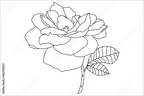Black and white painted rose with leaves, intended for holidays, postcards, March 8, Valentine ․
