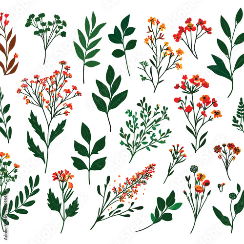 A creative vectored collection of isolated floral elements including flowers  buds  leaves  and foliage