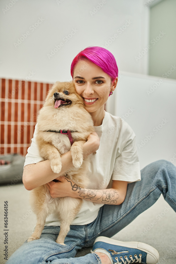 purple-haired woman sitting on floor and embracing pomeranian spitz, affection of dog and pet sitter purple-haired woman sitting on floor and embracing pomeranian spitz, affection of dog and pet sitter