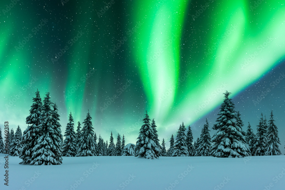 Aurora borealis. Northern lights in winter forest. Sky with polar lights and stars. Night winter landscape with aurora and pine tree forest. Travel concept - obrazy, fototapety, plakaty 