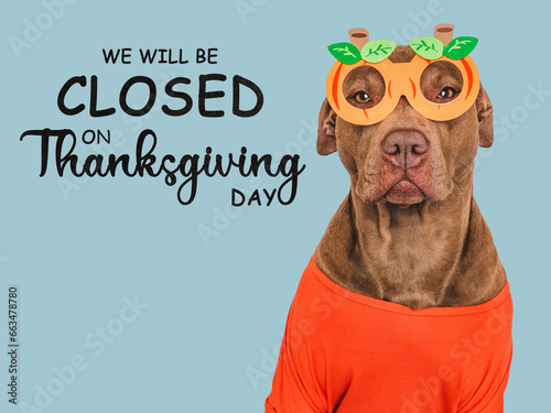 Signboard with the inscription We will be closed on Thanksgiving. Cute brown dog and a basket with pumpkin. Closeup, indoors. Studio shot. Pets care concept