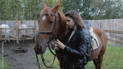 A woman prepares a horse for riding. A young woman puts a bridle on a horse on a farm and prepares horse equipment for a trip through the countryside.