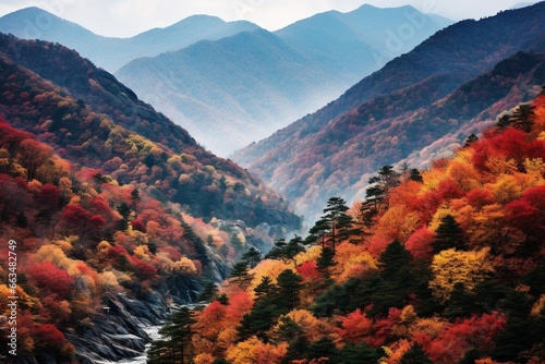 Vibrant autumn foliage on rugged mountain slopes