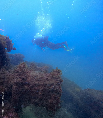 diver diving near a sunken ship