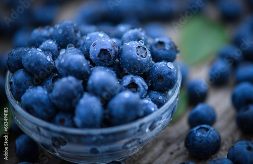 Wallpaper Mural blueberries in a bowl Torontodigital.ca