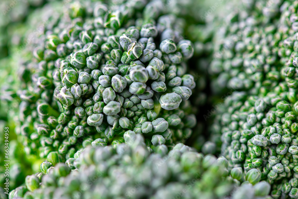 Pattern of broccoli. Macro photo green broccoli texture. Fresh green broccoli vegetable. Vegetables for diet and healthy food. Organic food Pattern of broccoli. Macro photo green broccoli texture. Fresh green broccoli vegetable. Vegetables for diet and healthy food. Organic food