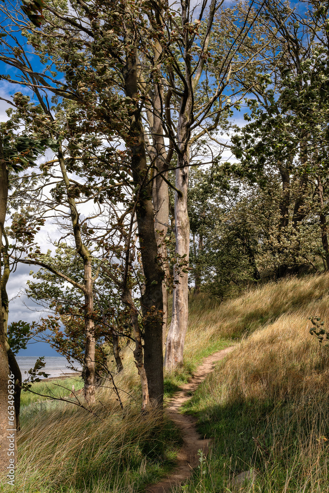 Der Europäische Fernwanderweg E9 schlängelt sich durch einen aufsteigenden Wald an der Ostsee-Steilküste bei Beckerwitz Ausbau Der Europäische Fernwanderweg E9 schlängelt sich durch einen aufsteigenden Wald an der Ostsee-Steilküste bei Beckerwitz Ausbau