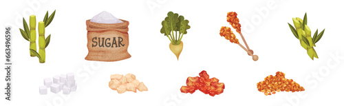Sugar and Natural Sweet Product Production Vector Set