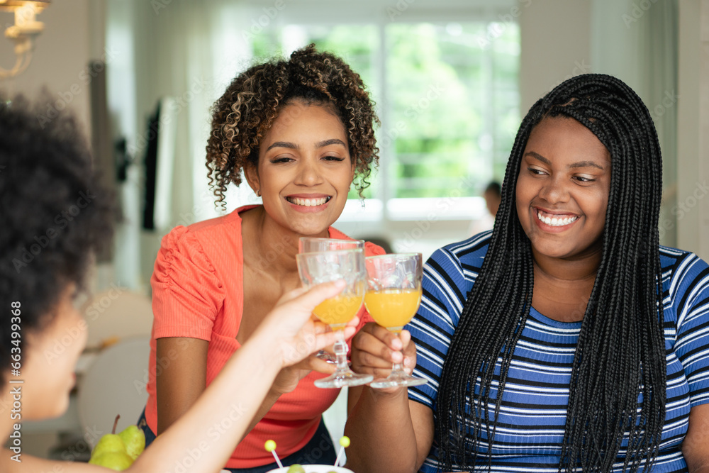 fun female friends celebrating with healthy drink at home fun female friends celebrating with healthy drink at home